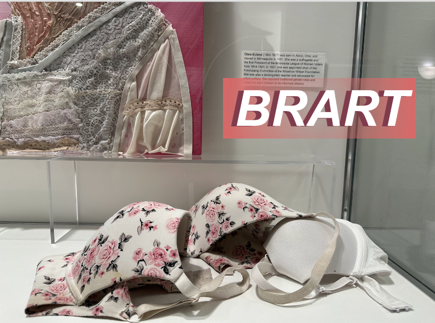 A floral bra on display at the Coffman Memorial Union alongside Sadie Ward's 'BRART' exhibit from March 16 - April 23.