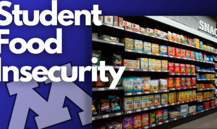 Grocery store with text saying student food insecurity with Minnesota logo in the background