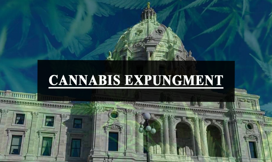 Minnesota cannabis expungements to start this summer