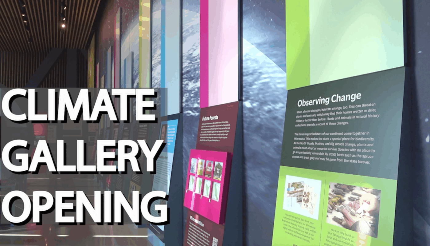 Interior of a climate science gallery showcasing informational displays about environmental change, illuminated by natural light, with the words "CLIMATE GALLERY OPENING" in large bold letters superimposed.