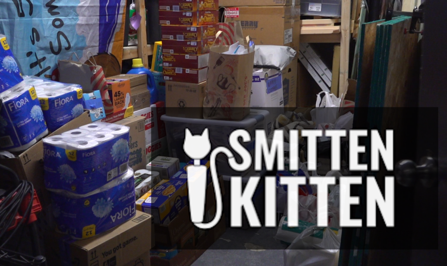 Adult store turns mutual aid hub amid ICE occupation