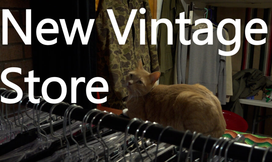 New Dinkytown vintage store creates space for community