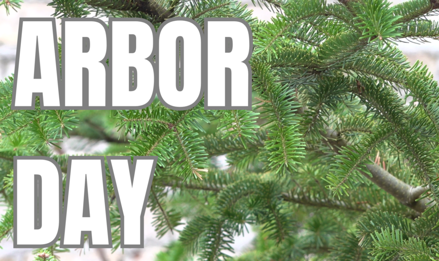 Locals celebrate Arbor Day at University’s arboretum