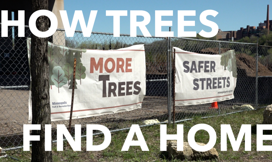 Minneapolis Forestry Department stores landscaping materials near U of M campus